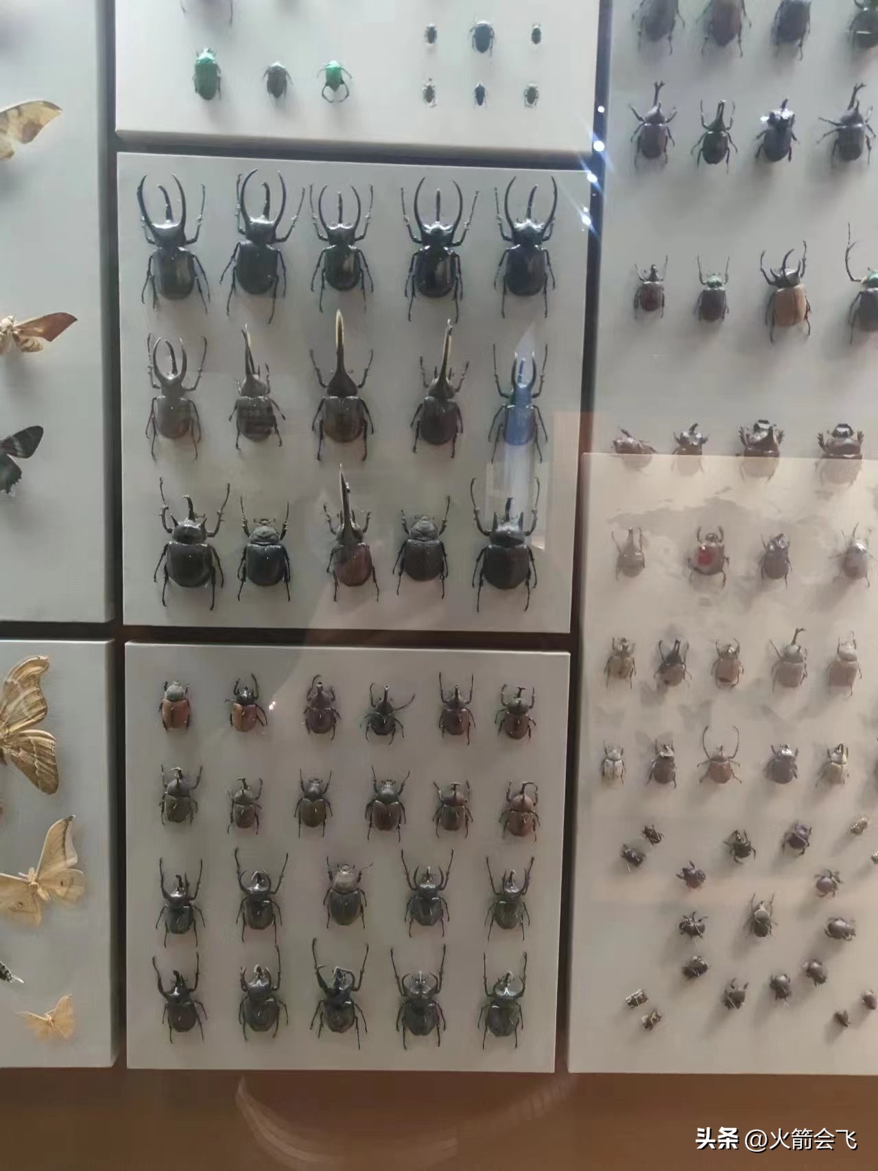 天津旅行攻略七日游价格多少,12小时极限游天津