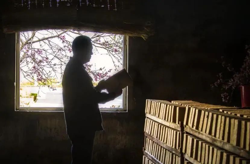 桃花春曲是什么意思,桃花春曲