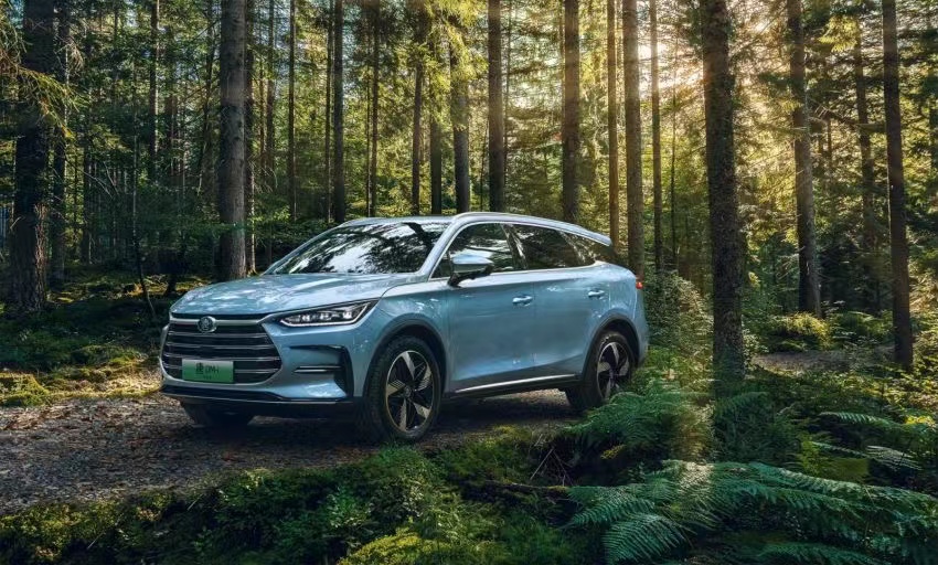 香爆了,汉唐冠军版起售价