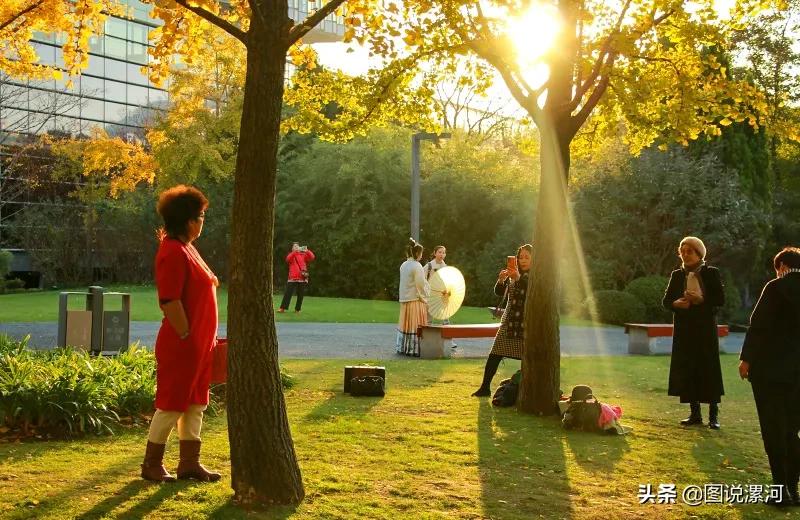 摄影比赛获奖名单公示,摄影大赛颁奖活动暨摄影展美篇