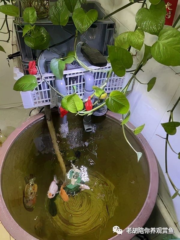 周转箱过滤好不好用,周转箱做过滤教程