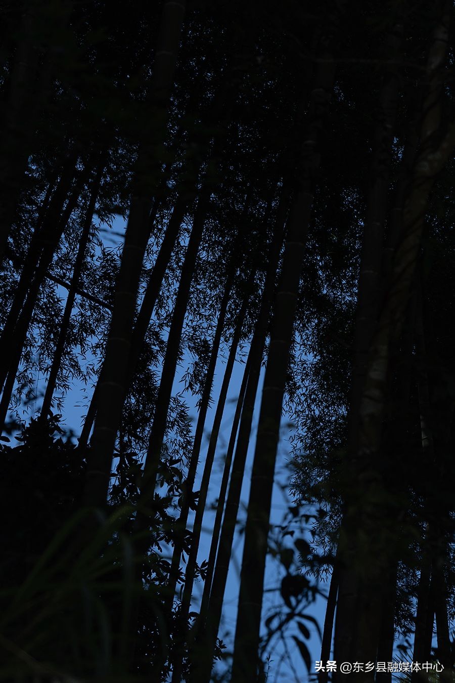 冬天最美的十种雅称,秋天的30个最美雅称你喜欢哪个