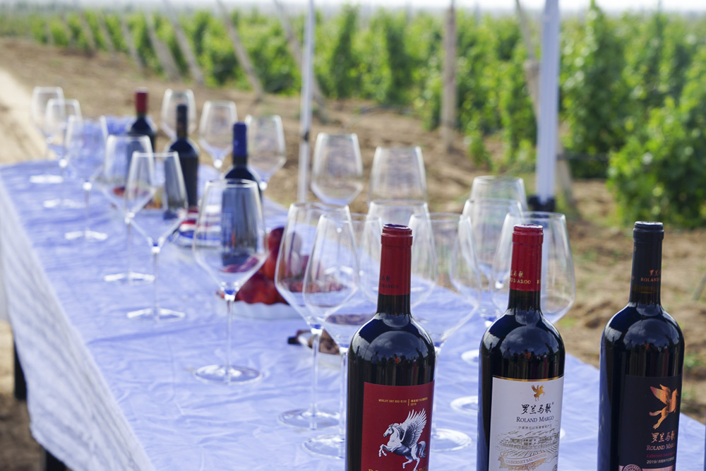 张裕宁夏酒庄最好的干白葡萄酒,宁夏十大葡萄酒酒庄