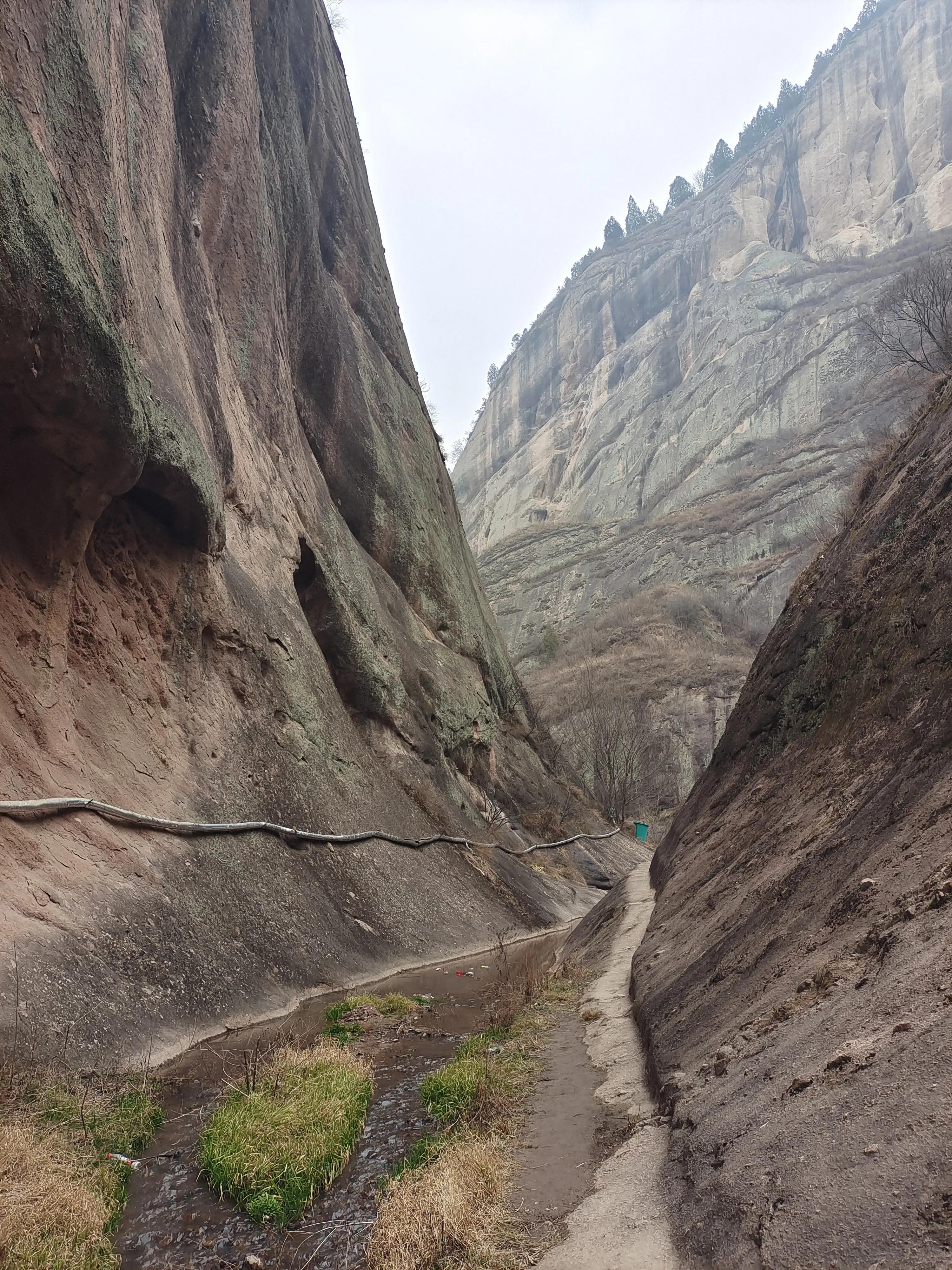 尼康调出油润感,尼康油润点的镜头