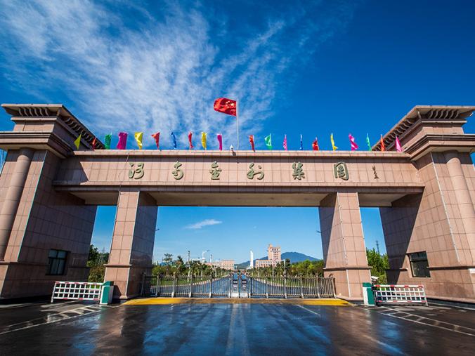 济源河南金利金铅集团有限公司,河南金利金铅发展历程