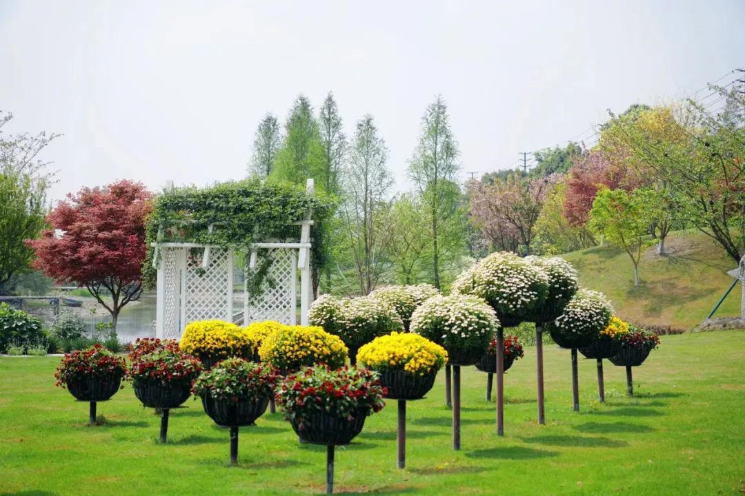 提前盛开！成都市区这个被偏爱的宝藏地又上新，即将刷爆全网