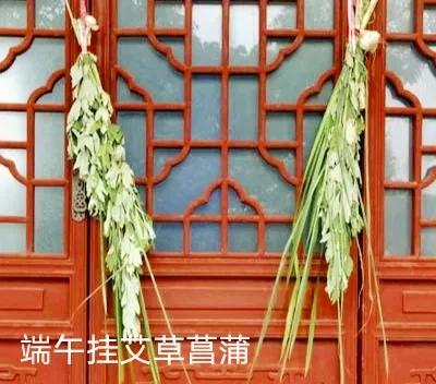 狡猾的动物,狡猾的动物生肖