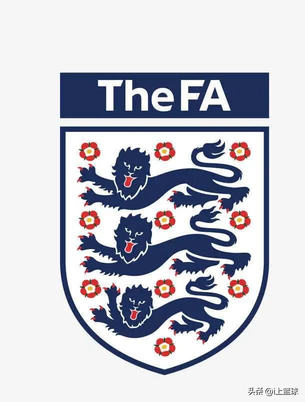 卡塔尔世界杯各队别称,卡塔尔世界杯上的奇葩名字