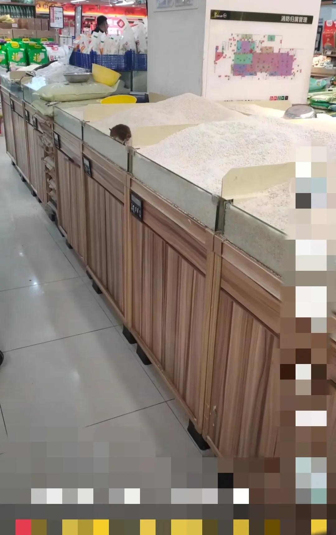 市场版的老鼠爱大米 (老鼠爱大米贵阳版)