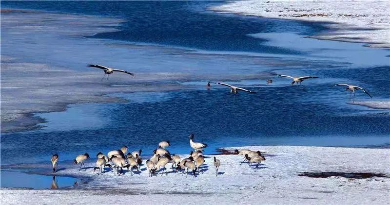 云南昭通大山包旅游攻略,乐享云南旅游