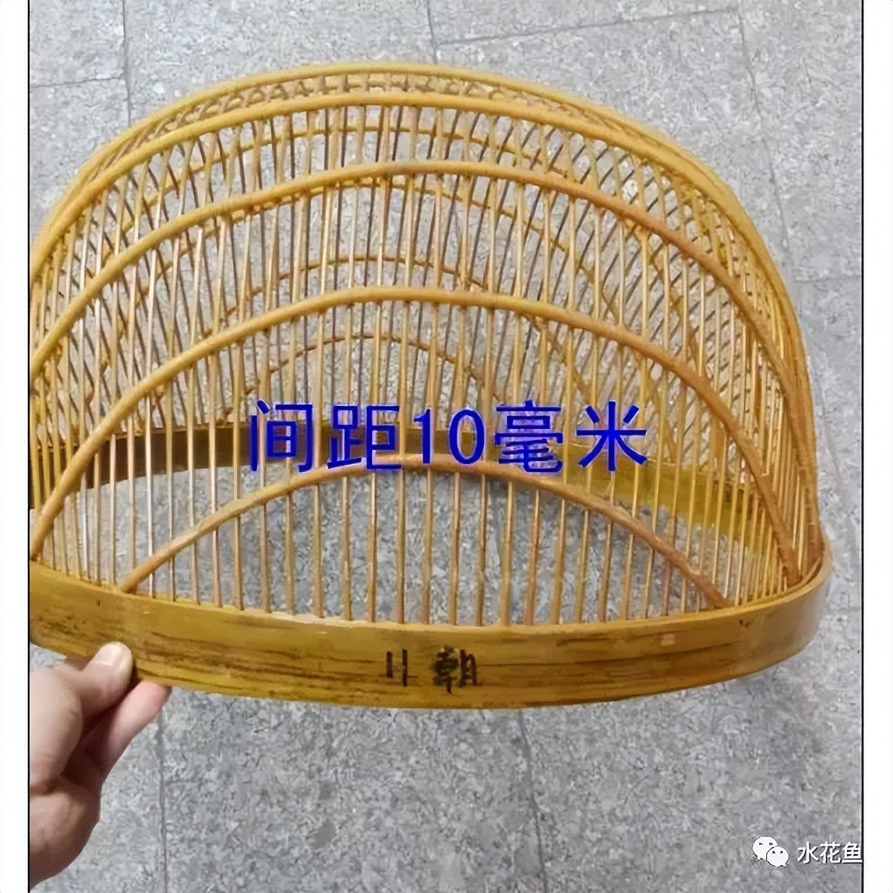 筛鱼神器小筛,4厘米宽的鱼筛可以筛多大的鱼