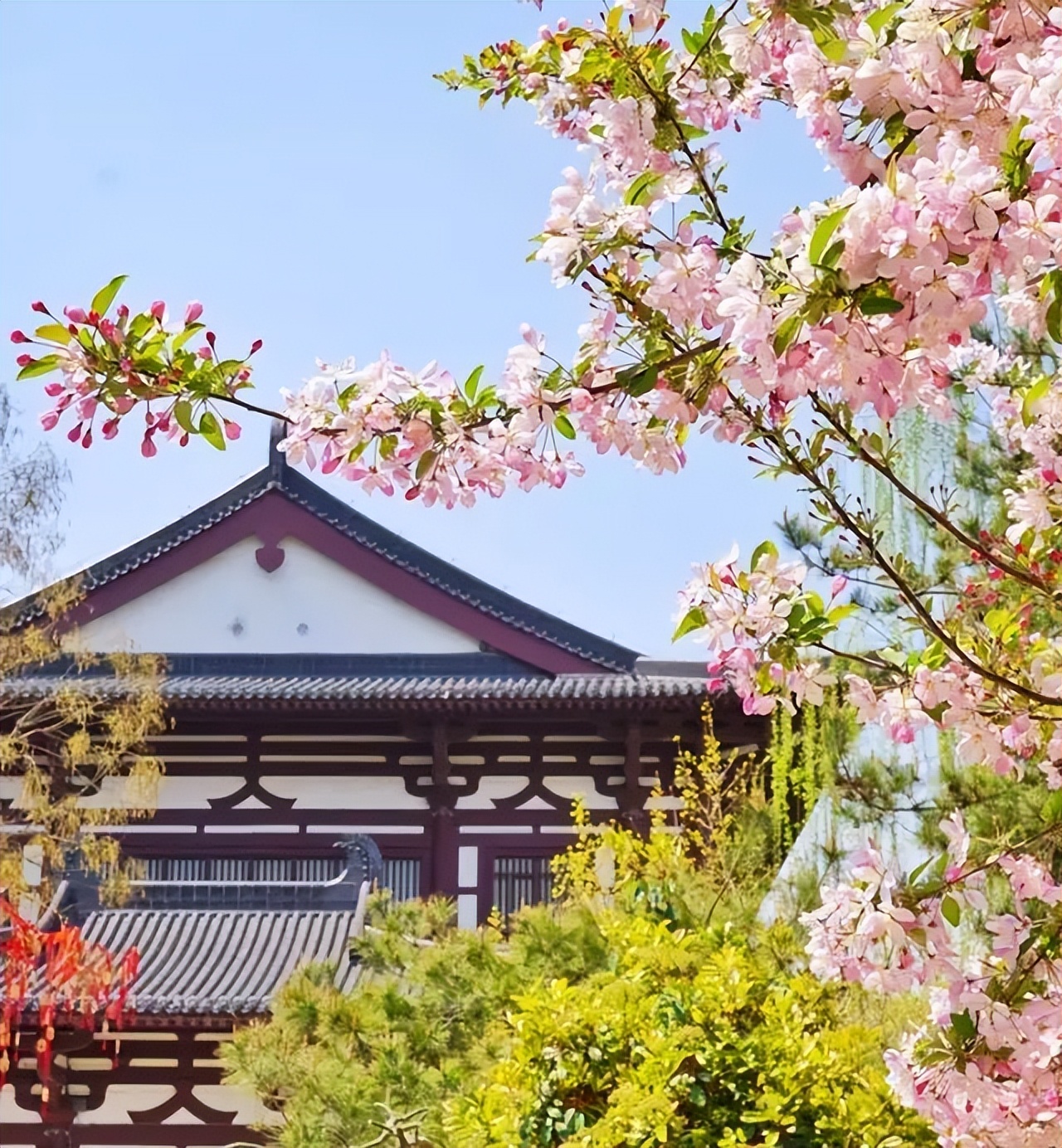 春日来信,春日来信与美好不期而遇