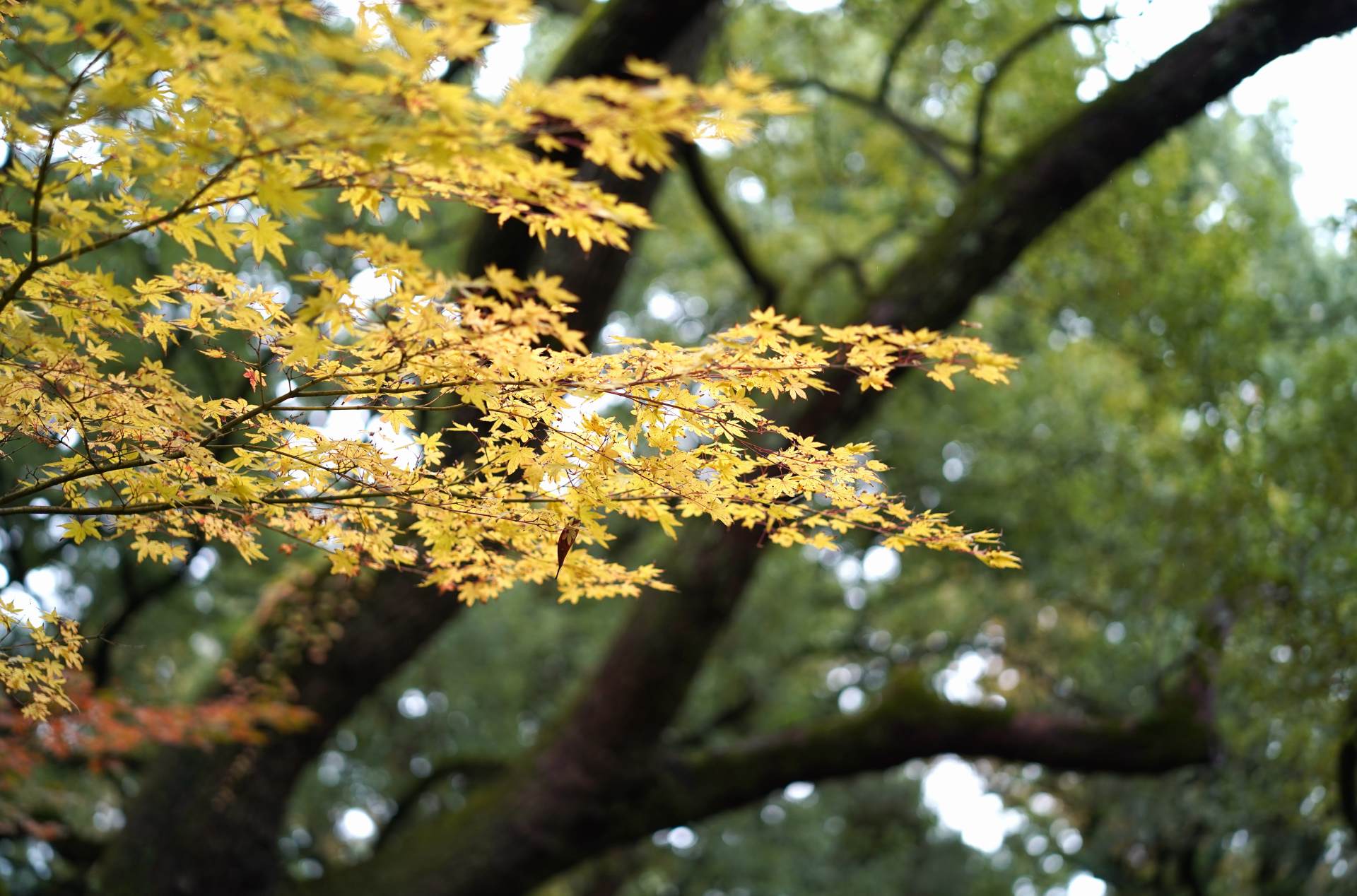值得入手的10款产品推荐,2022年中国值得期待的几款装备