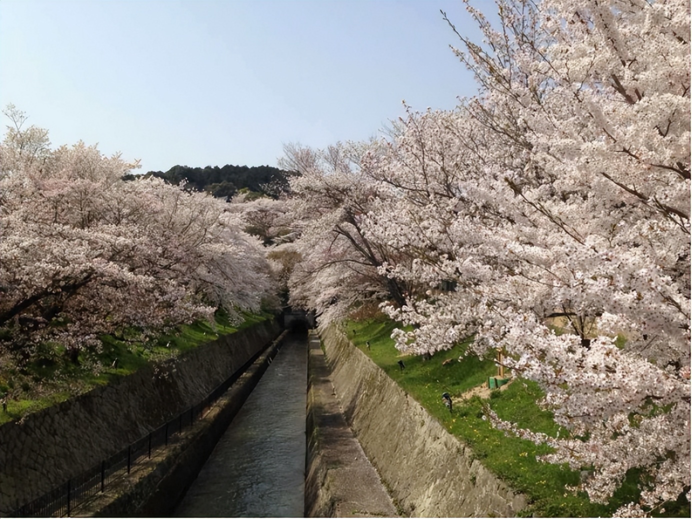 涓浗鐧惧瑙傜偣,鐧惧瑙傜偣