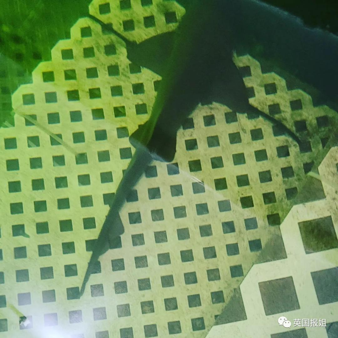 55岁美国教授海底生活95天,美国教授水下挑战