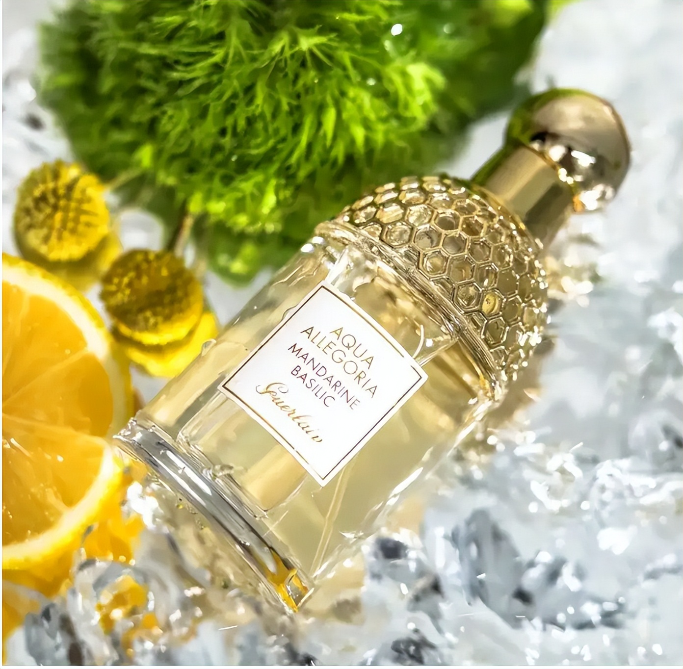 春天香水推荐平价品牌,春季热门香水推荐女士专用