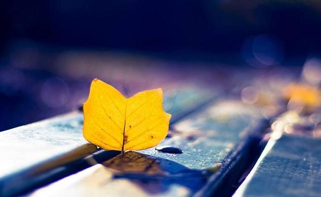 命里的钱都是有数的,命里没钱的因果