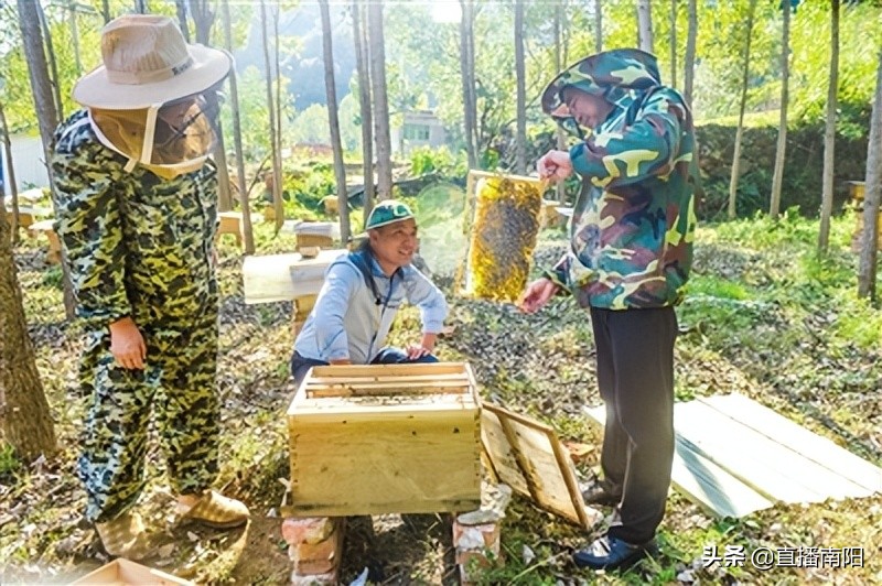 走绿色发展之路推动县域经济发展,走绿色发展之路开生态富民之花