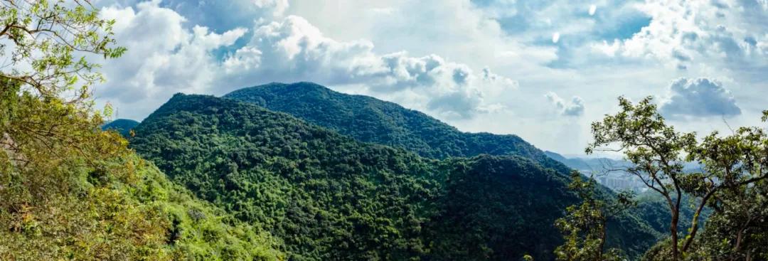 深圳最值得爬的景点,深圳十大最值得爬的山