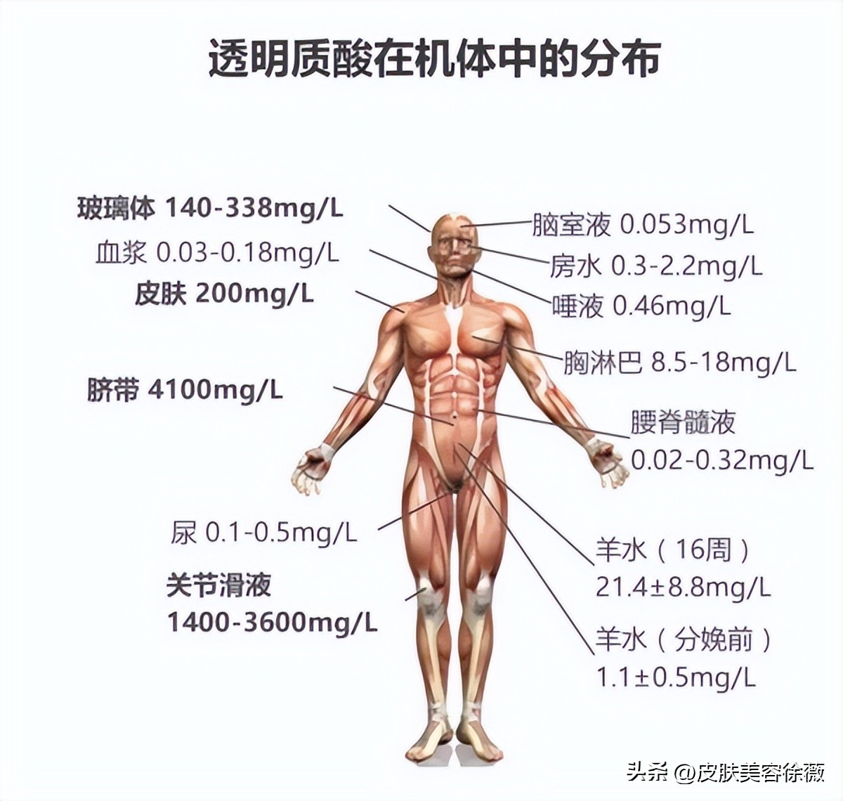口服玻尿酸靠谱不,有钱人都在吃保健品
