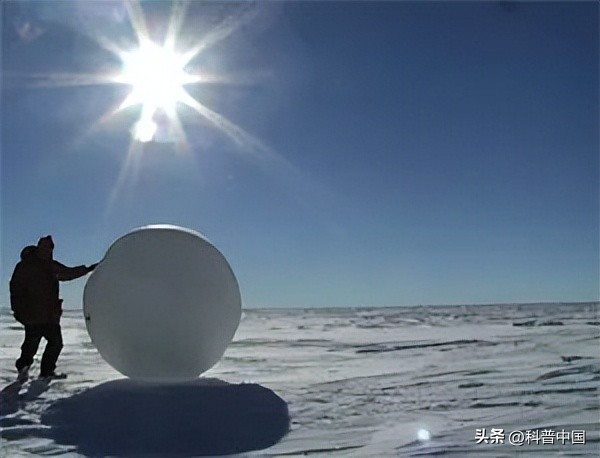 来看它们春风吹又“生”，“生”孩子的“生”！