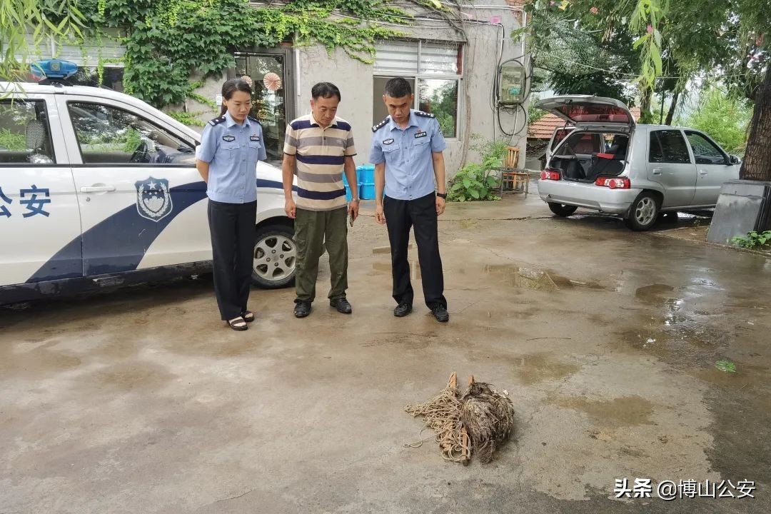 受伤严重凶猛依旧！博山警方及时救治一只国家二级保护动物