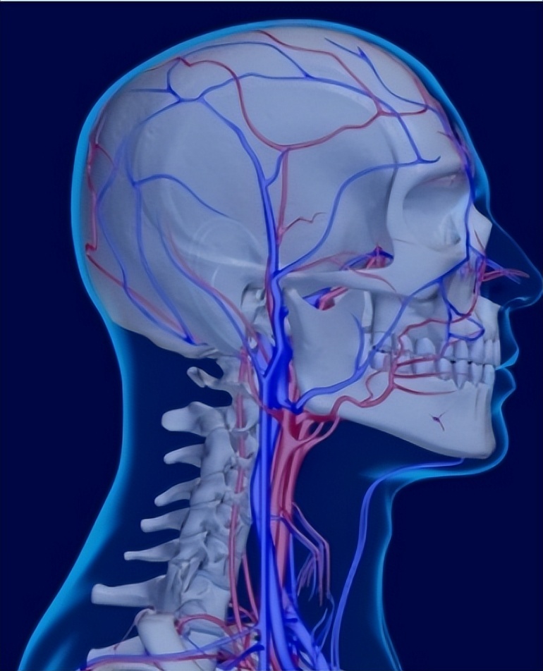 筋膜枪大力度推荐测评,2023专业级筋膜枪测评排行榜