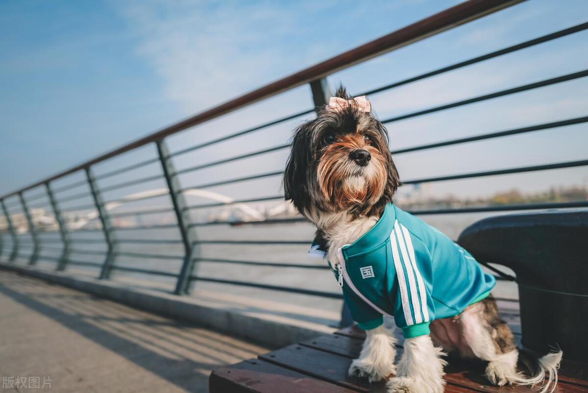 当你家有这3样旧东西,一定要清理掉,清理了,生活更自在