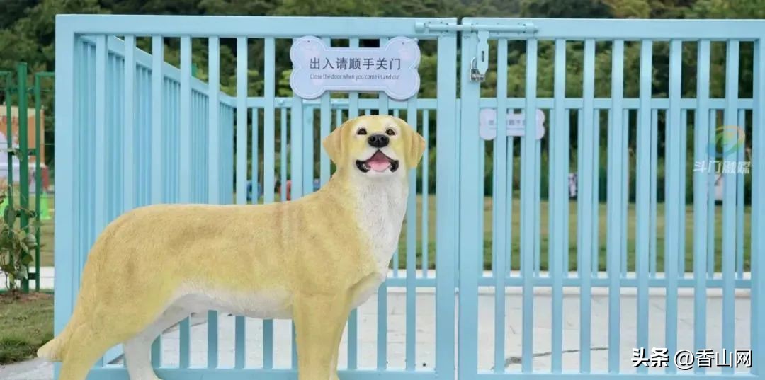 珠海唐家遛狗好去处,周末遛狗好去处乌鲁木齐