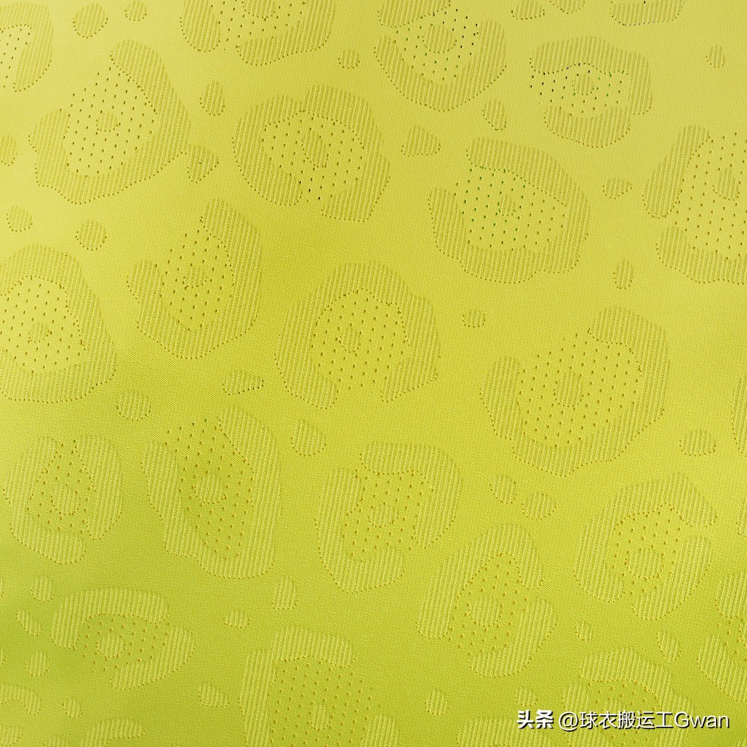 巴西世界杯阵容2022,巴西国家队球衣美洲杯