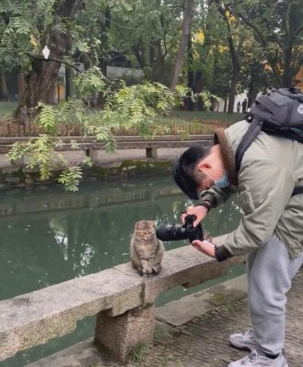 猫拉粑粑拉不出来不吃东西,猫老是叫还到处拉尿怎么办