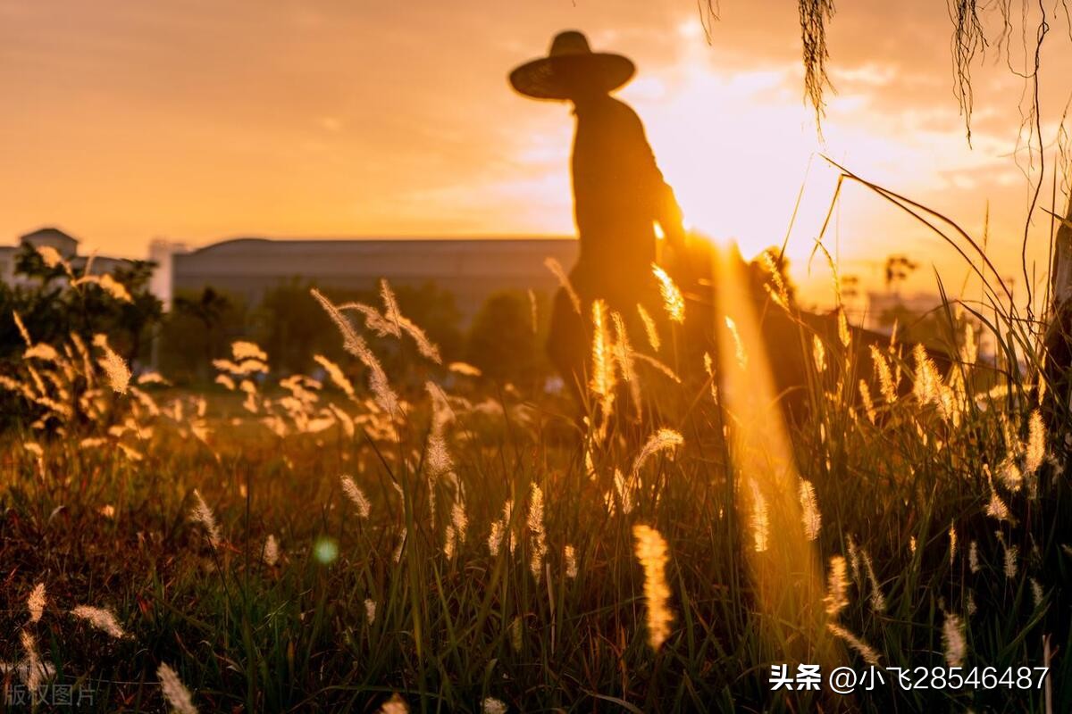 鑰佺櫨濮撴專閽卞幓浜嗗摢,鑰佺櫨濮撹鎬庝箞鎸ｉ挶