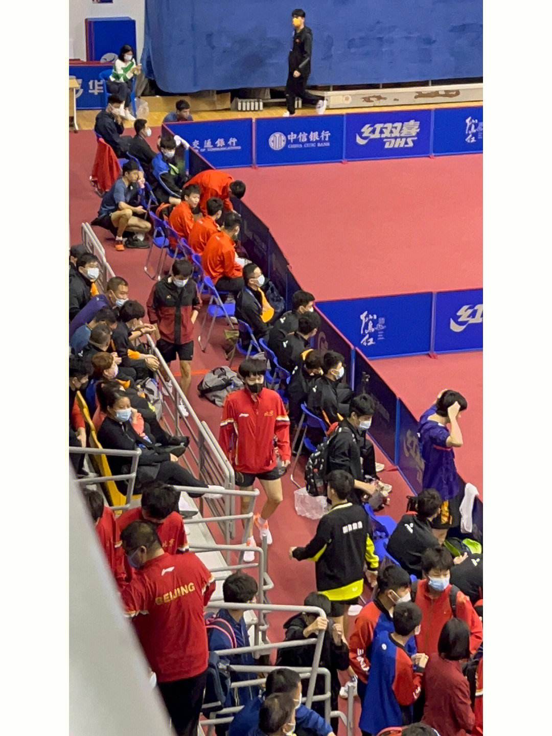 王楚钦以前谈恋爱照片,王楚钦新恋情是谁