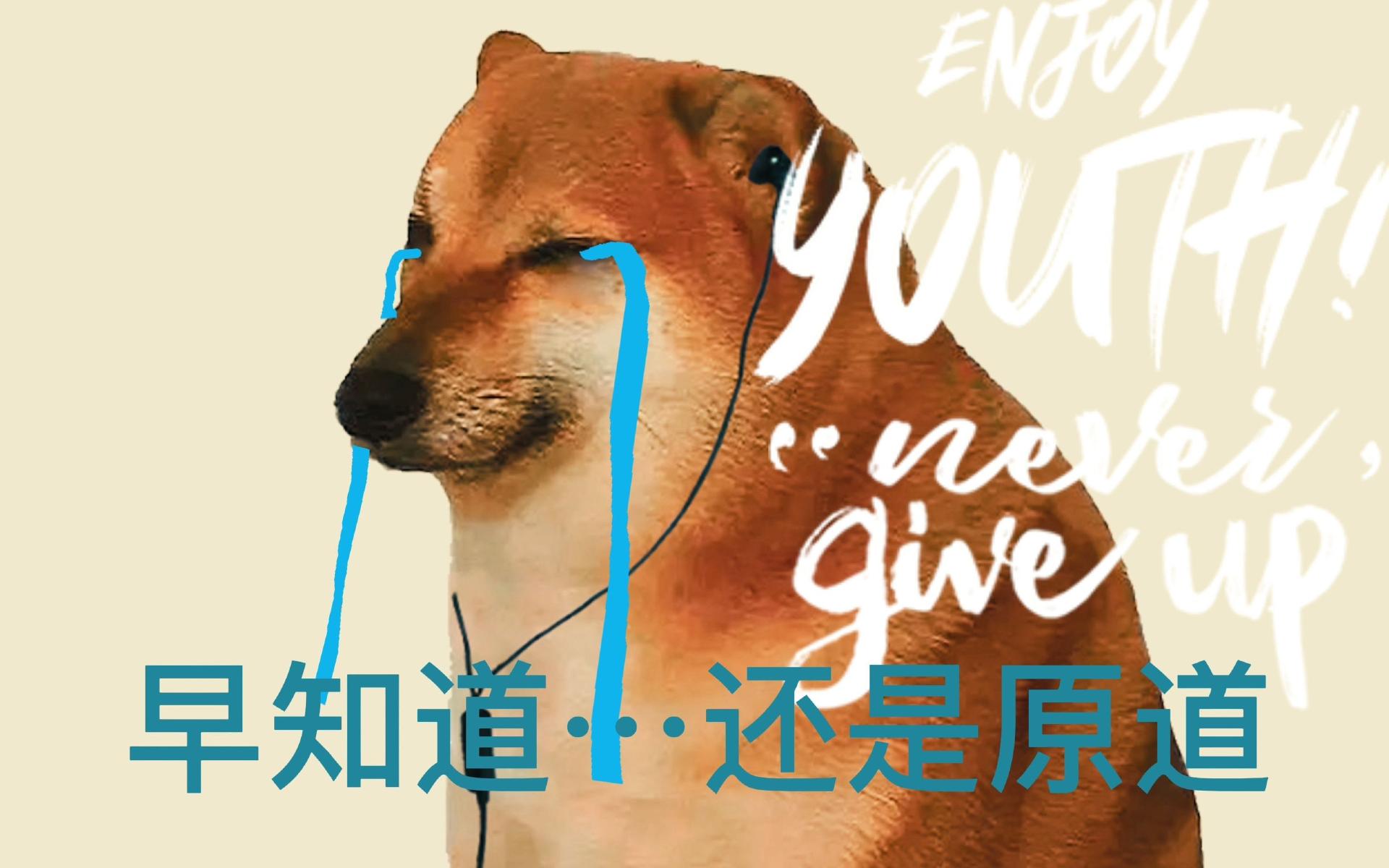 nicehck閽涚編x39娴嬭瘎,nicehck閽涚編x39鍘熼亾