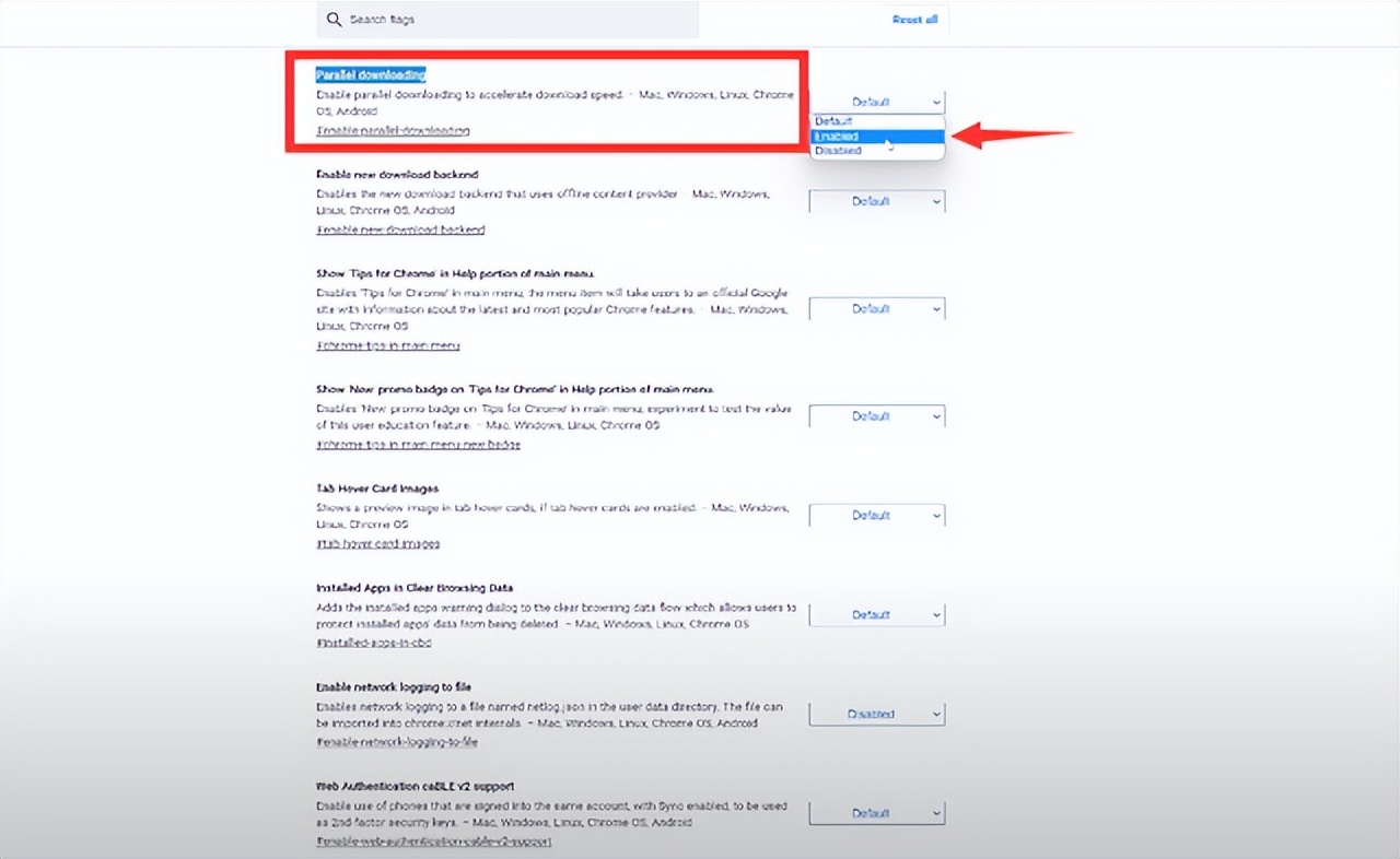 浏览器卡顿如何修复,浏览器太卡开启缓慢教你一招提速