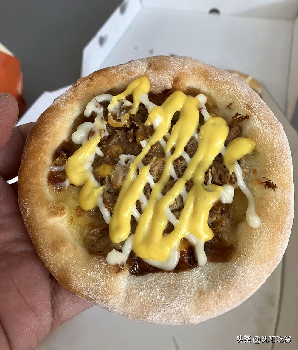 这是我吃过最贵的芝士披萨,这是我吃过的最美味的披萨饼英文