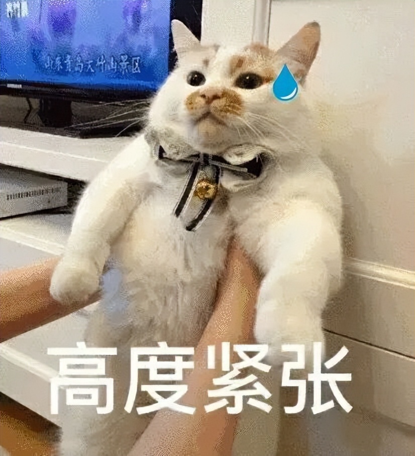 世界杯英格兰vs伊朗5.1,世界杯英格兰vs伊朗比赛全场