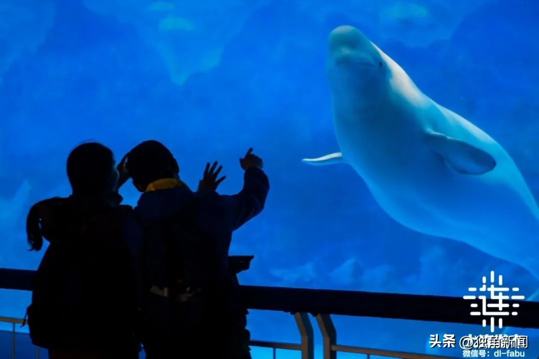 大连附近一日游旅游景点大全,大连哪里更好玩一日游景点