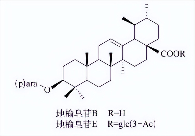 哪些植物含有三萜成分最多,萜烯类物质对植物的功效