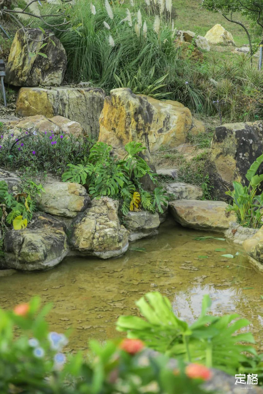 雨林打卡网红地滑梯,深圳哪里有超大型滑梯
