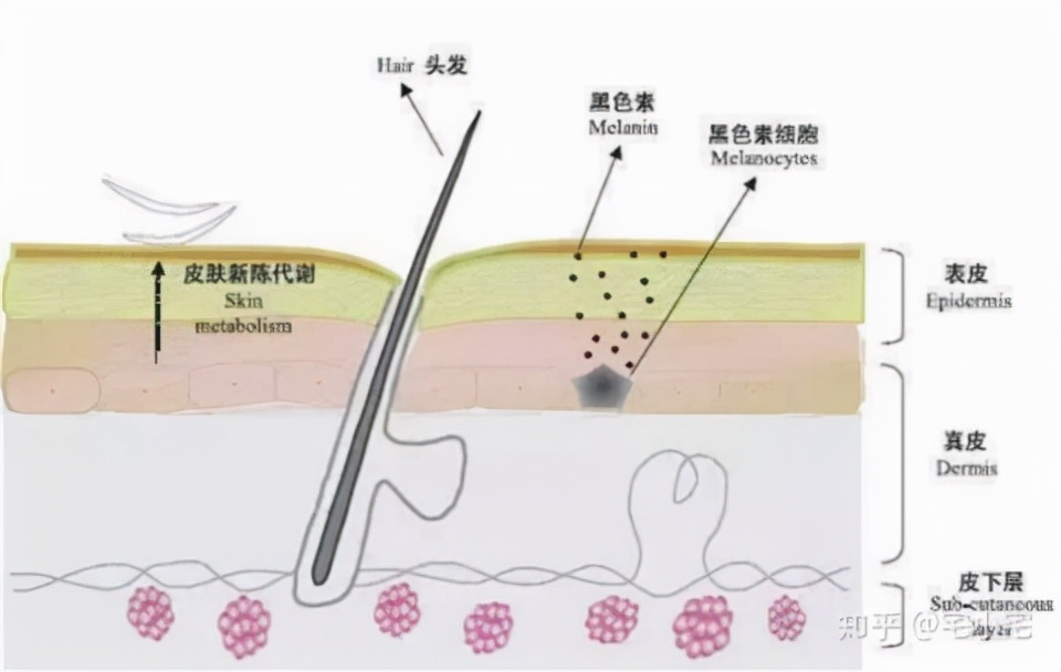 小编给大家推荐几款有效祛斑精华,公认最好最实惠美白祛斑精华