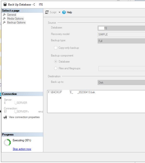 sqlserver数据库太大怎么备份,数据库存储过大怎么办