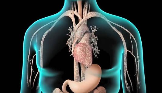 桥本甲状腺炎中医解释,中医对桥本氏甲状腺炎的认识