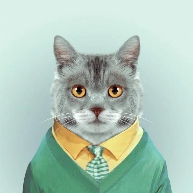 微信朋友圈置顶文案怎么设置,soul独特吸引人的置顶文案