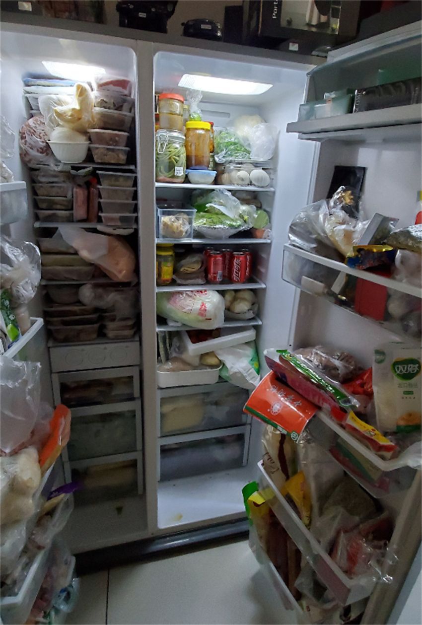 40度冰柜有必要买吗,十大不建议入手的冰柜