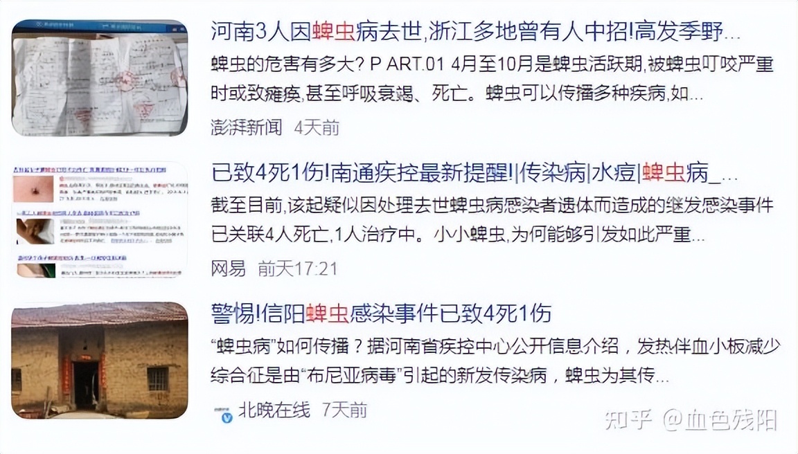 长寿猫咪,想要猫咪长寿需要注意这三件事