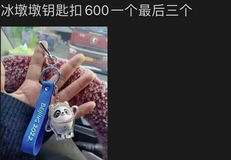 还没买到冰墩墩，已经被山寨货笑哭了