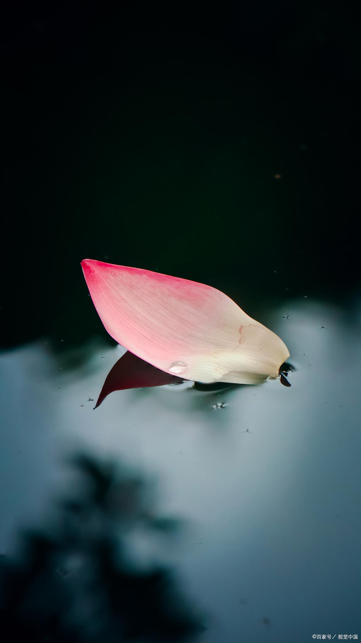 如何用手机相机拍出摄影师的照片,手机摄影照片分享