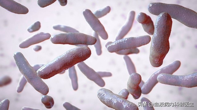 什么是中性粒细胞浸润,什么是中性粒细胞数