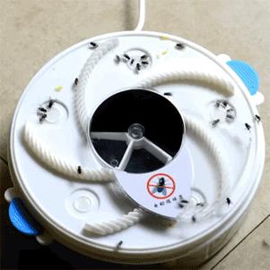 女生衣服上的字母含义,你知道衣服上的字什么意思吗